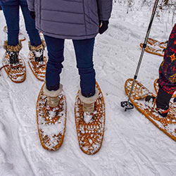 Snowshoeing