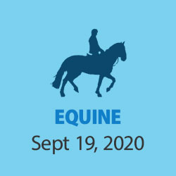 Equine Event