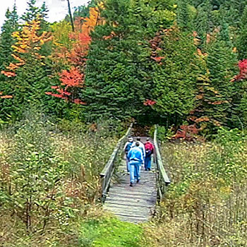 Hiking Trails