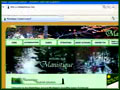 Manistique Website