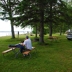 State Forest Campground