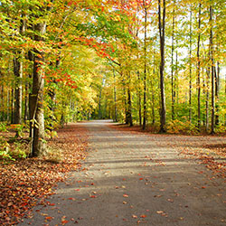 Colwell Lake Trail